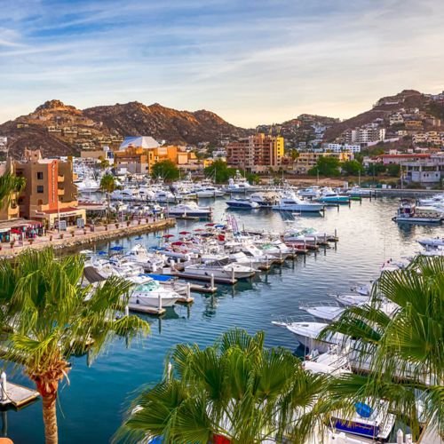 Location: <span>Cabo San Lucas</span>